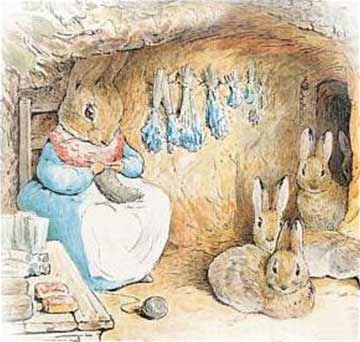 小兔彼得的故事