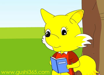爱看书的小狐狸